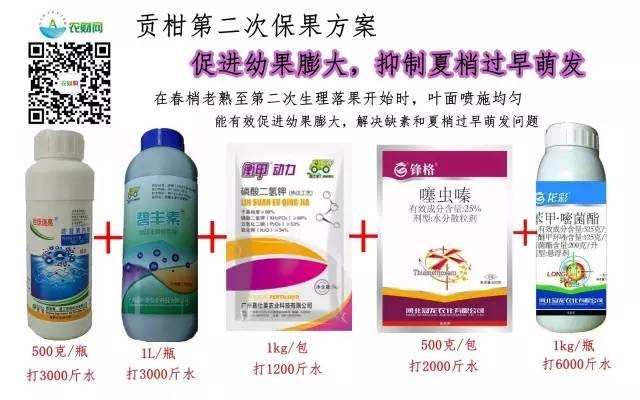 保花保果用什么农药最好?_保花保果药可以和农药混合用吗_果树保花保果喷什么农药最好