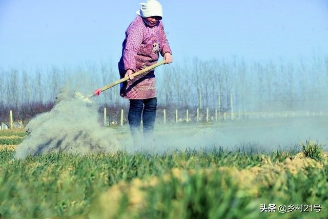 用白醋杀虫的比例是多少_自制白醋杀虫水_自制杀虫剂配方白醋