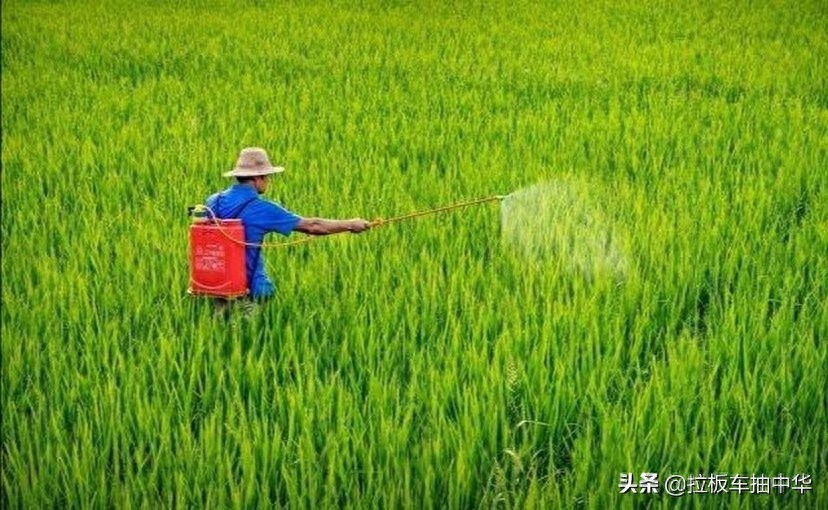 蚍虫啉的适用范围_蚍虫林能杀红蜘蛛吗_蚍虫林