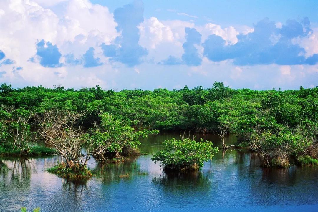 海口市有_海口有几个区_海口区有哪些卫生院