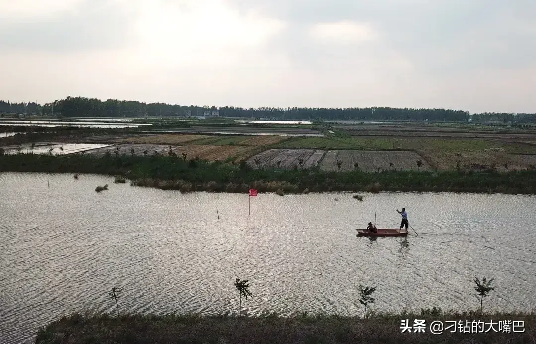 龙虾那可以吃_龙虾适合吃人小孩吃的吗_5斤小龙虾适合多少人吃