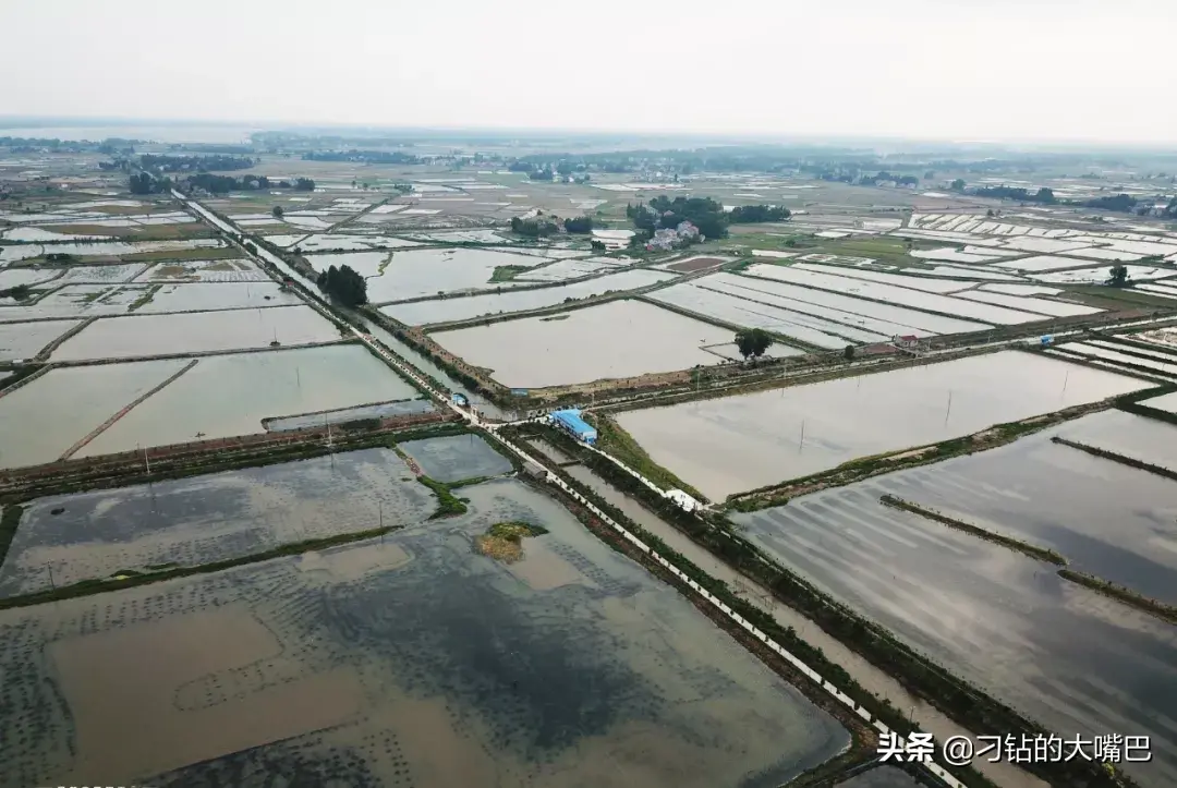 龙虾适合吃人小孩吃的吗_龙虾那可以吃_5斤小龙虾适合多少人吃