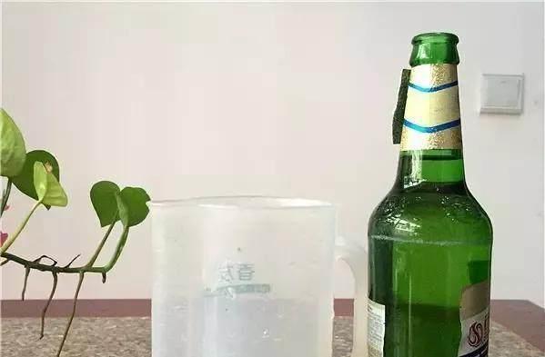 鲜花花瓶换里面水怎么办_鲜花多久换一次花瓶里面的水_鲜花花瓶换里面水怎么换