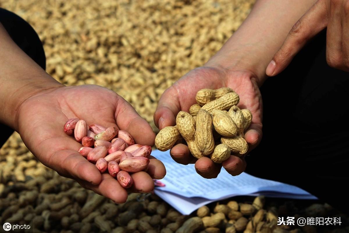 复硝酚钠什么味道_复硝酚钠优点和缺点_复硝酚钠碱性