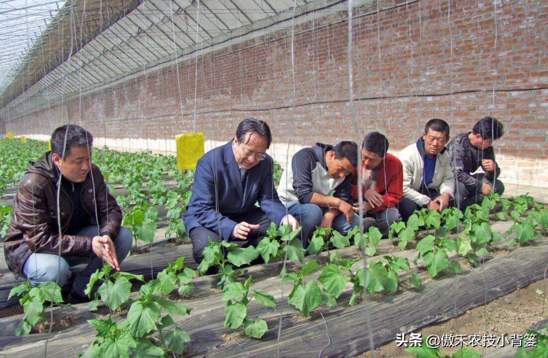 复硝酚钠毒性_复硝酚钠优点和缺点_复硝酚钠什么味道