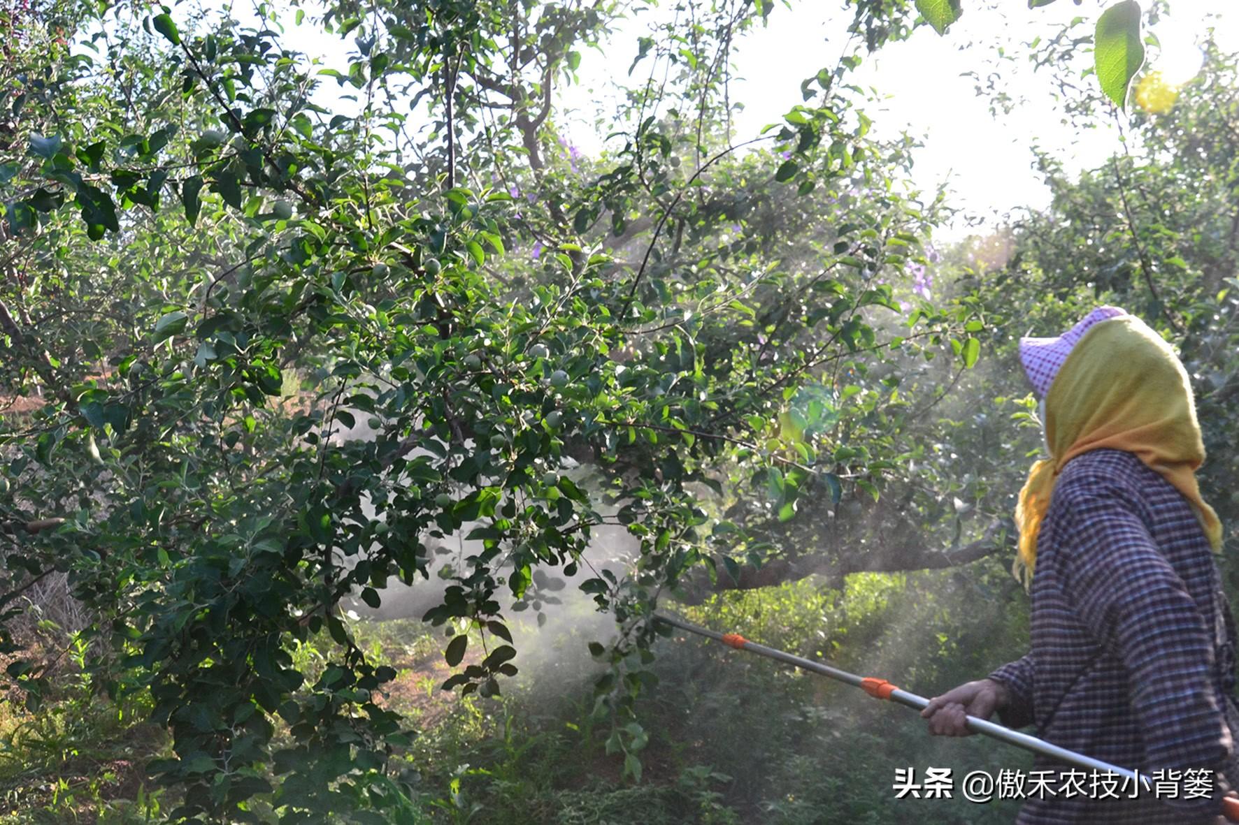 复硝酚钠毒性_复硝酚钠优点和缺点_复硝酚钠什么味道