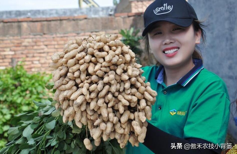 复硝酚钠优点和缺点_复硝酚钠毒性_复硝酚钠什么味道