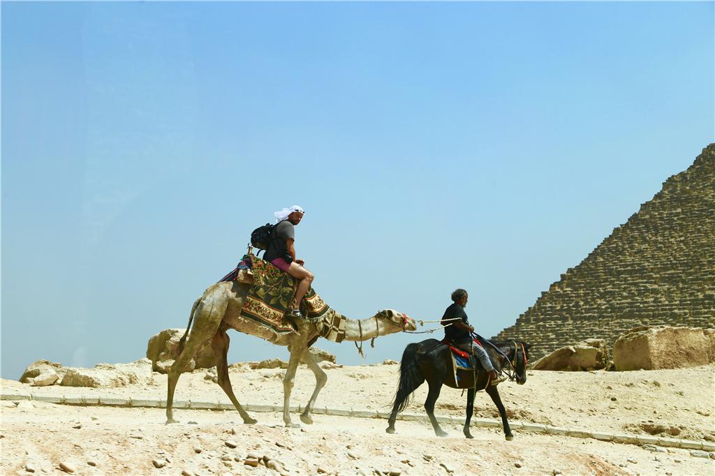 埃及金字塔在哪个城市_埃及金字塔城市全景图片_埃及金字塔城市有哪些