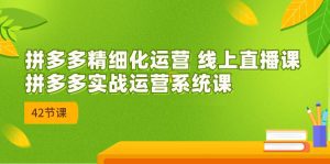 2023年8月新课-拼多多精细化运营 线上直播课：拼多多实战运营系统课-42节