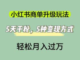 小红书商单升级玩法，5天千粉，5种变现渠道，轻松月入1万+