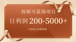 视频号蓝海项目，0基础在家也能做，日入200-5000+【附266G资料】