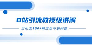 B站引流教授级讲解，细节满满，日引流100+精准粉不是问题