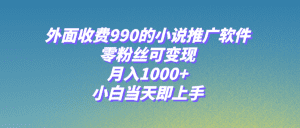 小说推广软件，零粉丝可变现，月入1000+，小白当天即上手【附189G素材】