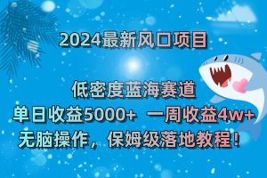 2024最新风口项目 低密度蓝海赛道，日收益5000+周收益4w+ 无脑操作，保姆级落地教程！