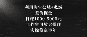 利用淘宝公域+私域差价掘金，日赚1000-5000元，工作室可放大操作，实操稳定半年