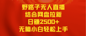 无人直播野路子结合网盘拉新，日赚2500+多平台变现，小白无脑轻松上手操作