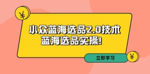 拼多多培训第33期：小众蓝海选品2.0技术-蓝海选品实操！