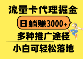 流量卡代理掘金，日躺赚3000+，首码平台变现更暴力，多种推广途径，新手小白轻松落地