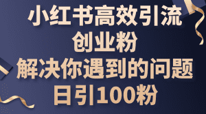小红书高效引流创业粉，解决你遇到的问题，日引100粉